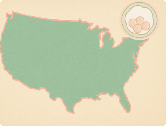 Asset 55usa2